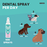 Dentalspray 150ml Int.